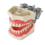860 Lower Epoxy Model with 9 Fixed Teeth for Magnetic Quick Disconnect Tray